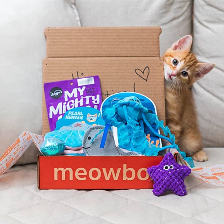 Monthly gift box for dogs clearance